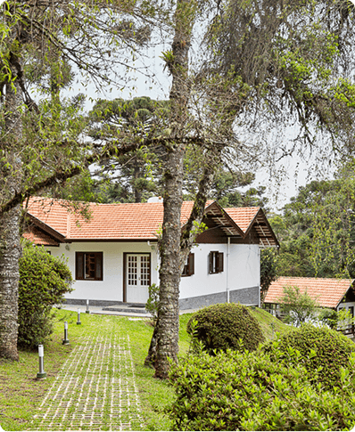 Formação de Professores